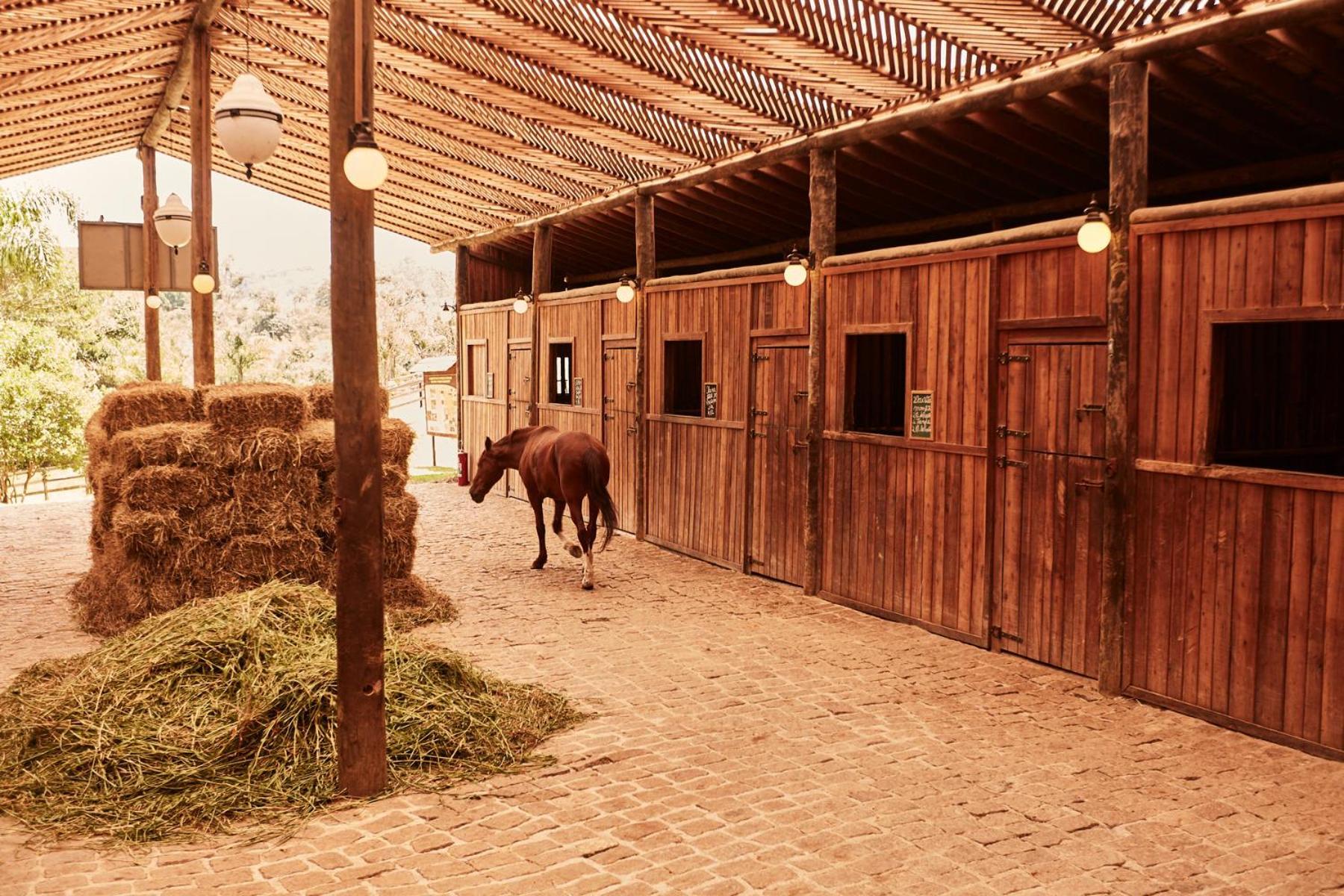 Hotel Fazenda Morros Verdes Ecolodge อีบิวนา ภายนอก รูปภาพ