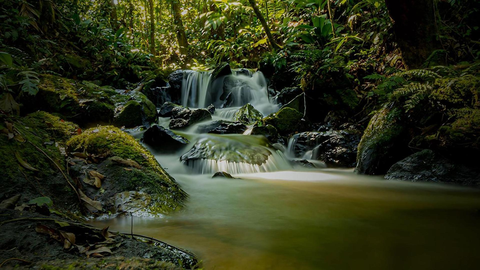 Hotel Fazenda Morros Verdes Ecolodge อีบิวนา ภายนอก รูปภาพ